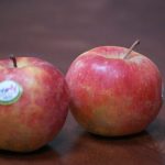 Moelleux aux pommes Antares et à la fève Tonka