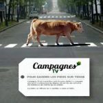 Campagnes TV