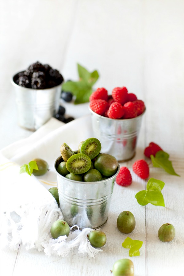 fruits-nergi-en-pots