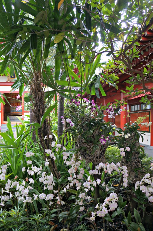 jardin temple