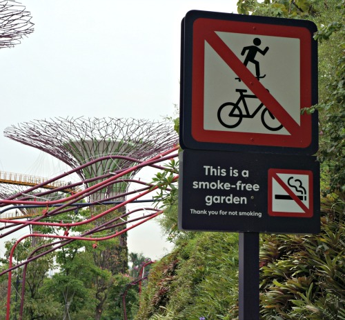 gardens by the bay 4