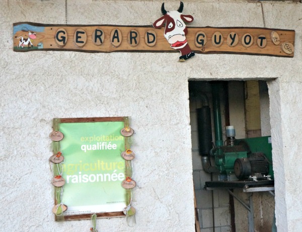 Comté Gerard Guyot